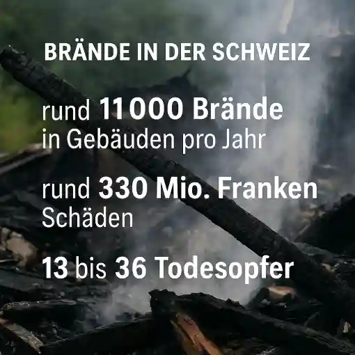 Stadtritter - Brand Statistik